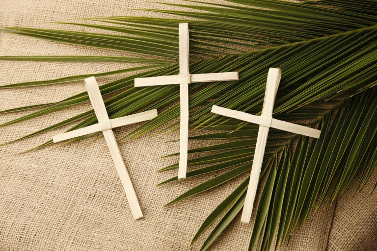 Ready for Palm Sunday? Here's What to Know So You Can Prepare for the ...