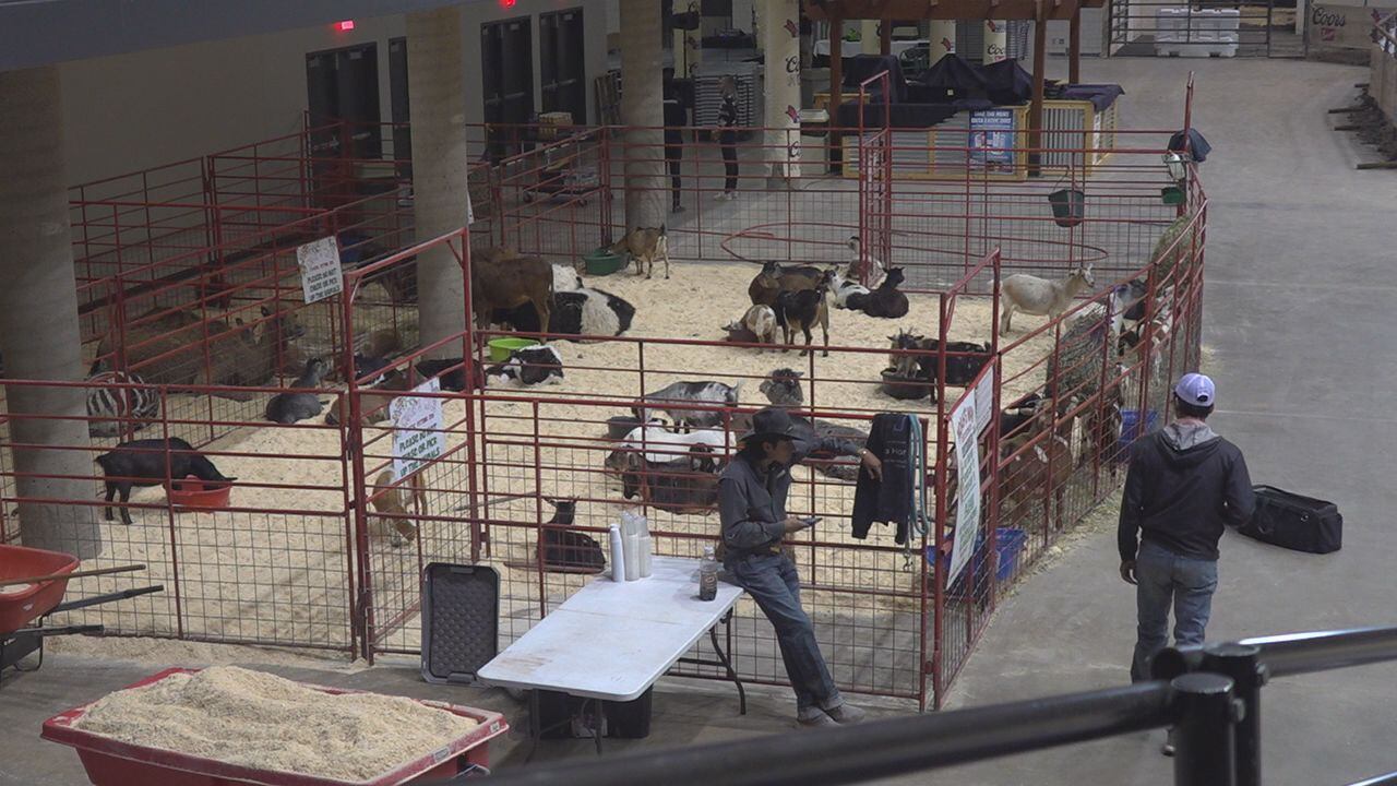 Vendors And Exhibitors Prepare For The 2024 Black Hills Stock Show   BB1hhKKa.img