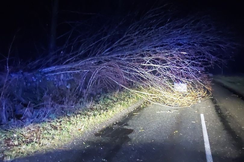 thousands of galloway homes left without power after storm jocelyn batters region