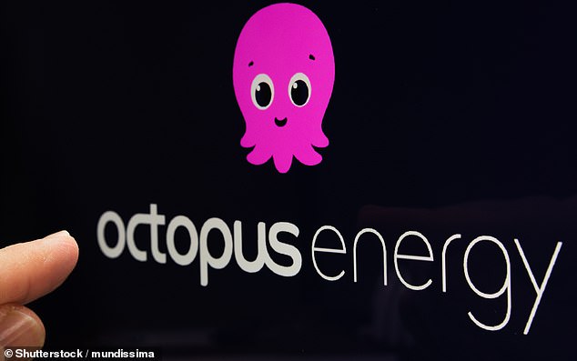 octopus energy boss criticises smart meters as households struggle with faulty devices