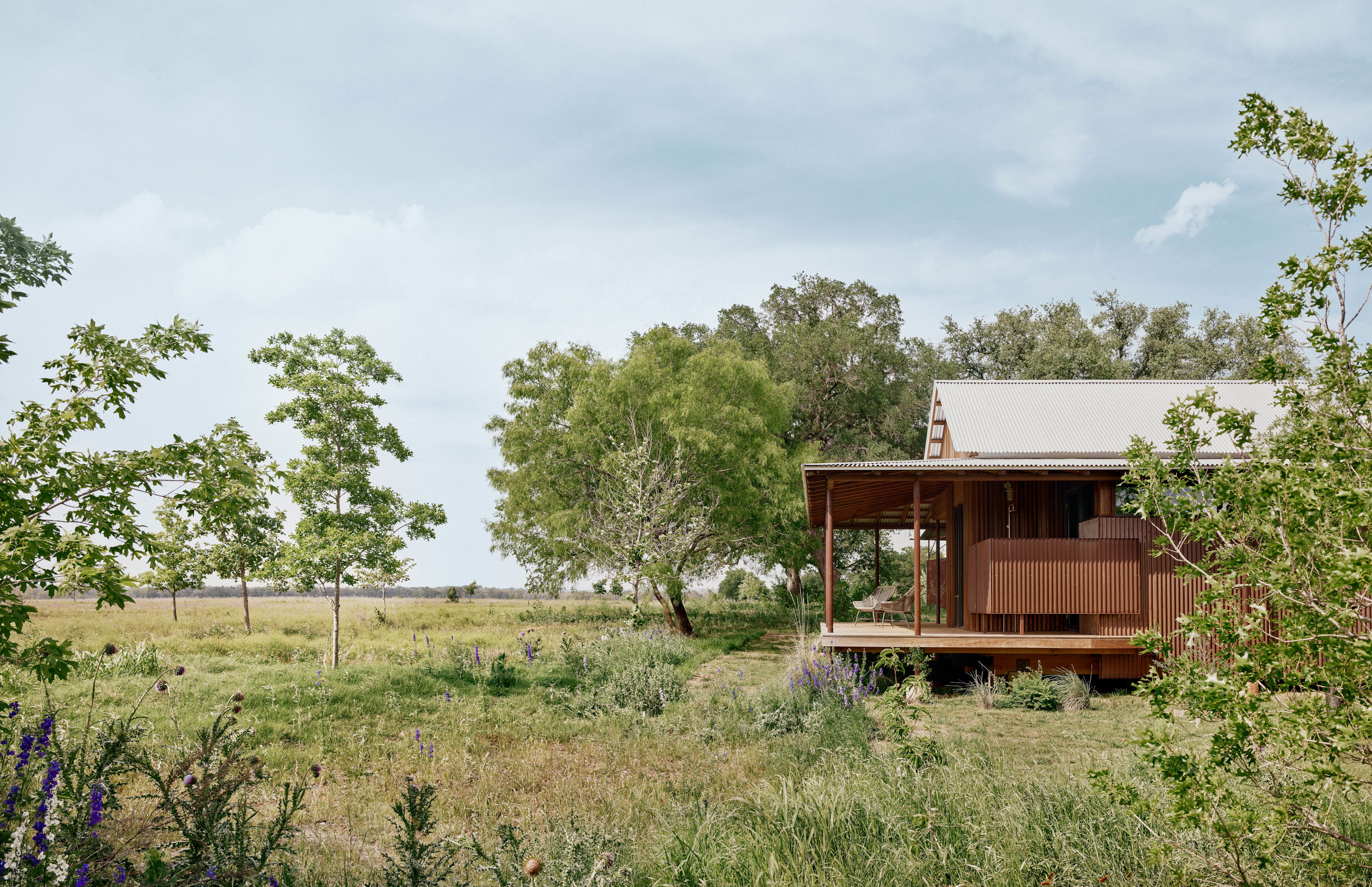 In 2020, when Taylor Collins and Katie Forrest moved permanently from their city house in Austin to their bison, pig, and poultry ranch in Fredericksburg, Texas, they called Baldridge Architects to redesign it as a nearly 4,400-square-foot family home.<p>Sign up for our newsletter to get the latest in design, decorating, celebrity style, shopping, and more.</p><a href="https://www.architecturaldigest.com/newsletter/subscribe?sourceCode=msnsend">Sign Up Now</a>