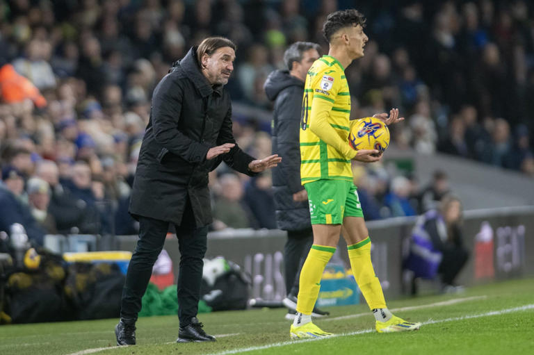 Leeds United manager Daniel Farke gives injury updates on Dan James and Archie Gray