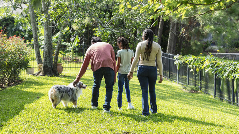 Here's How Long You Should Keep Kids And Pets Off The Lawn After ...