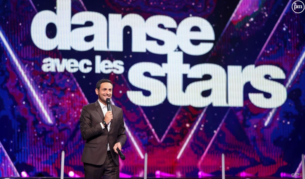 "Danse Avec Les Stars" 2024 : TF1 Rappelle Trois Danseurs Emblématiques ...