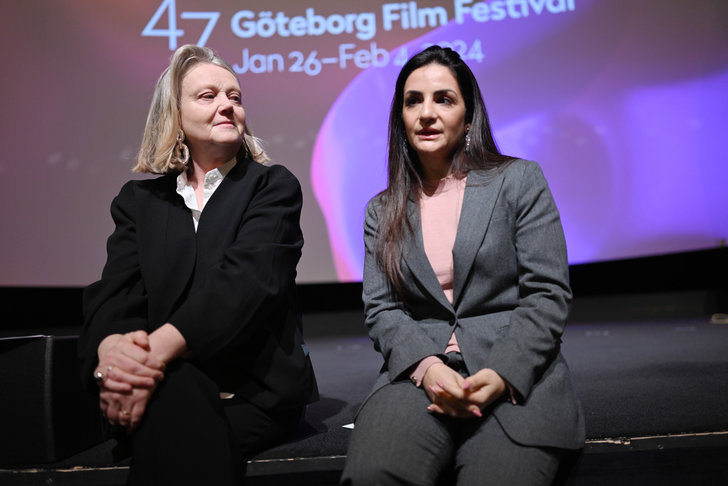 ministern: två knäckfrågor för svensk film