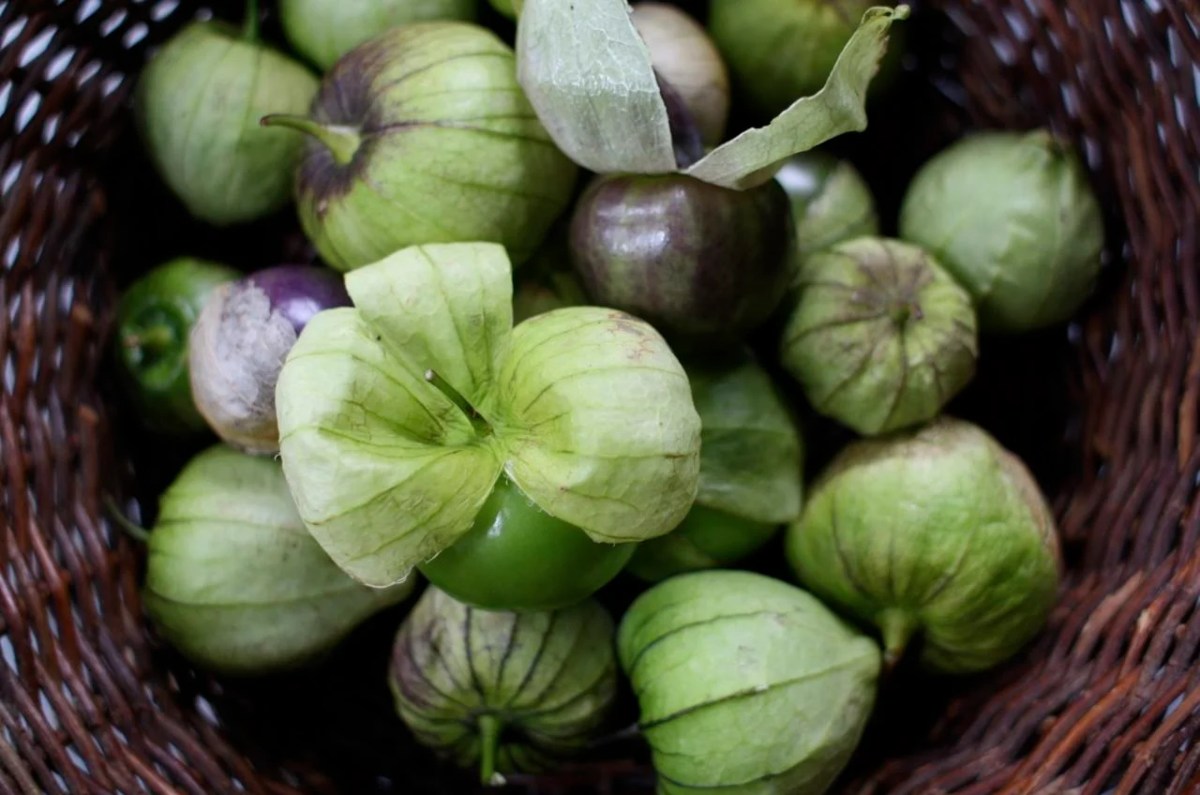 ¿la cáscara del tomate verde se come? este remedio natural se puede hacer