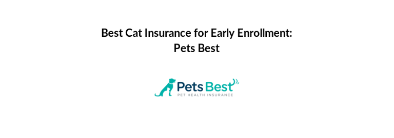 Best Cat Insurance