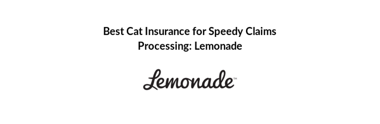 Best Cat Insurance