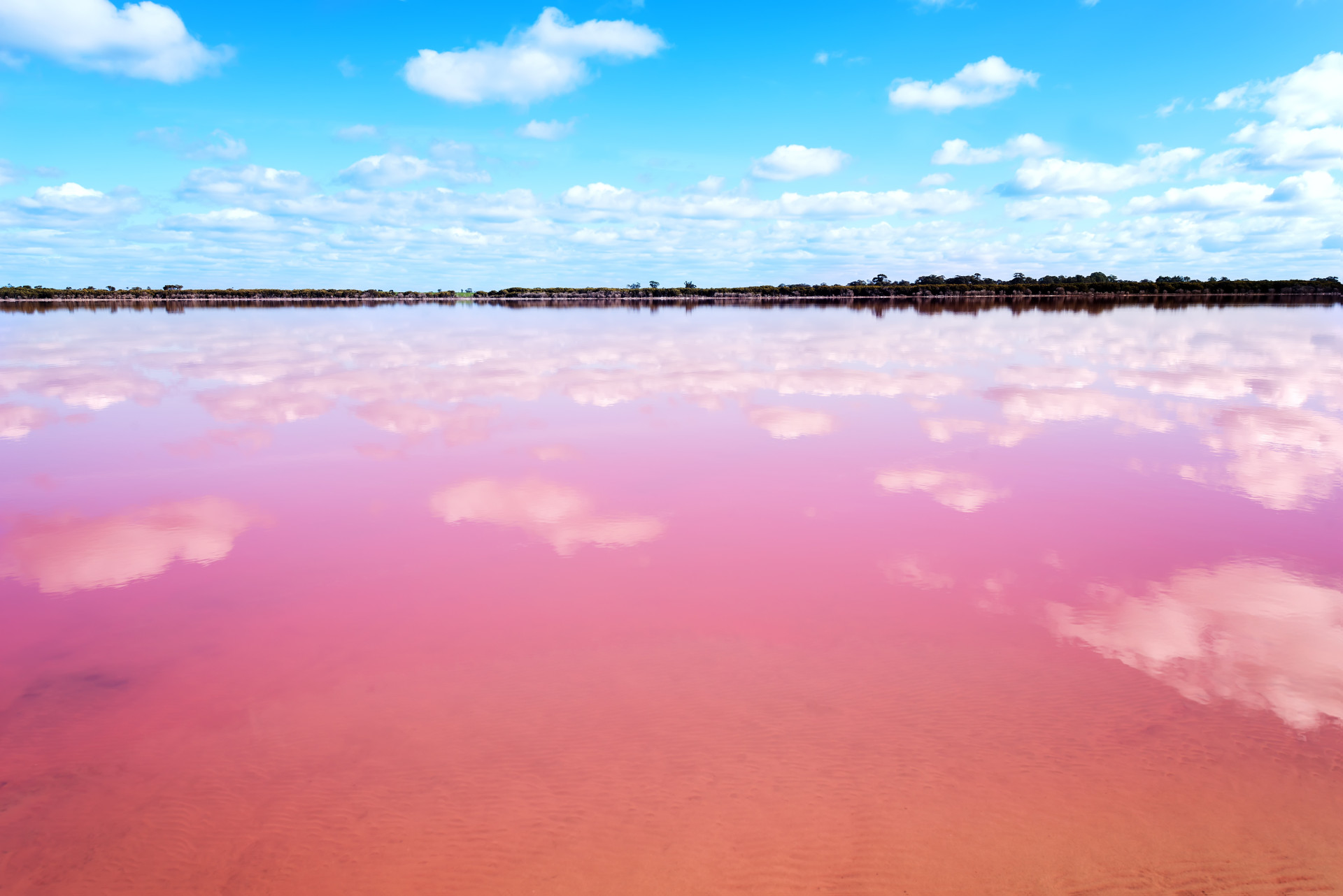 The enchanting pink lakes of Australia
