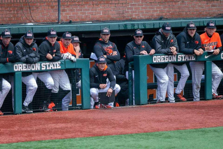 Oregon State baseball to play independent schedule in 2025, giving
