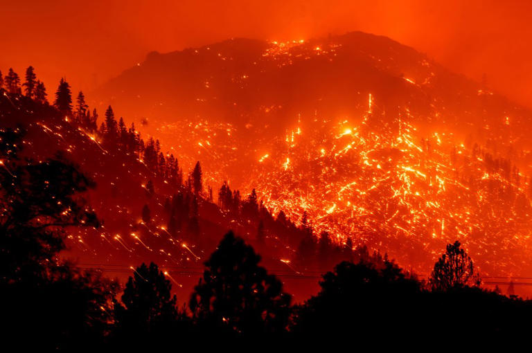 Fire suppression is exacerbating wildfire severity in the US West: Study