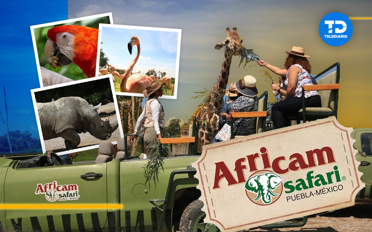 african safari precio entrada