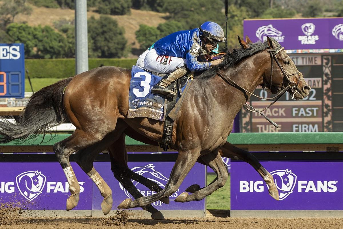 Cody's Wish Named Horse Of The Year