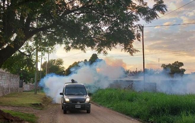 dengue en córdoba: en qué barrios de la capital fumigarán este viernes 26 de enero
