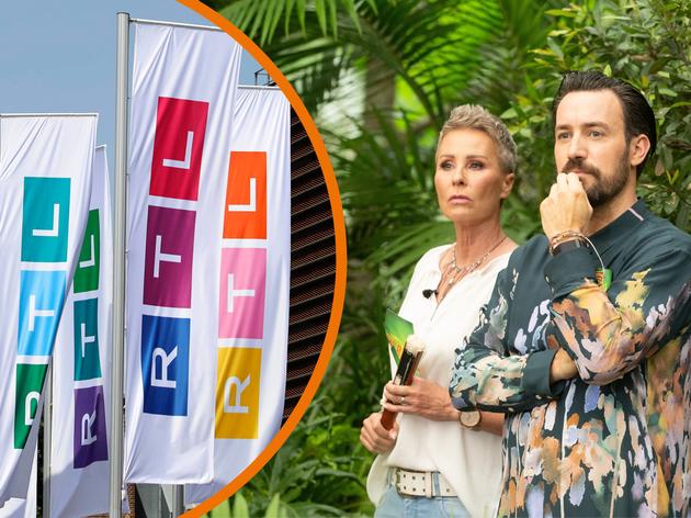 Dschungelcamp 2024 Bei RTL: Wer Hat IBES Gewonnen?