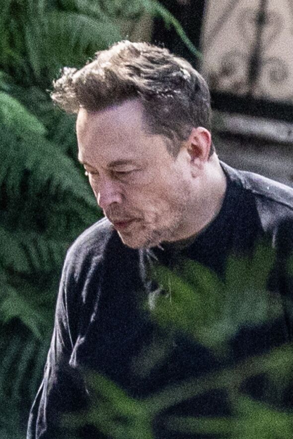 Elon Musk Looks Crushed After Devastating Tesla Loss And Massive Blow ...