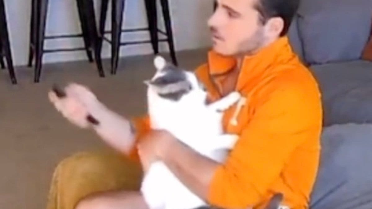 hij pakt zijn kat en knuffelt hem, maar heeft geen bril op. het doet 100 miljoen mensen lachen (video)