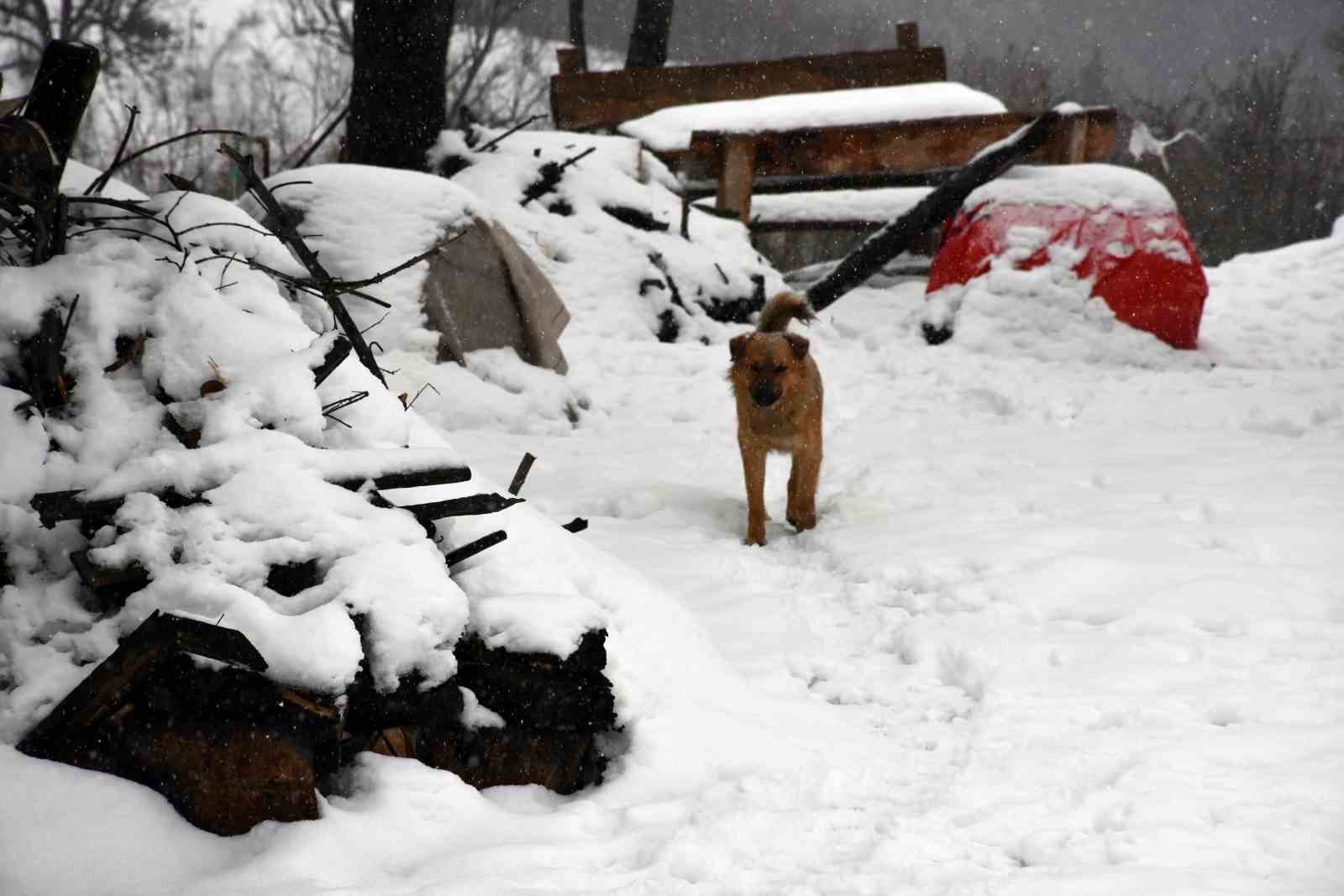 sakarya’nın o mahallesinde kar kalınlığı 45 santimetreye ulaştı