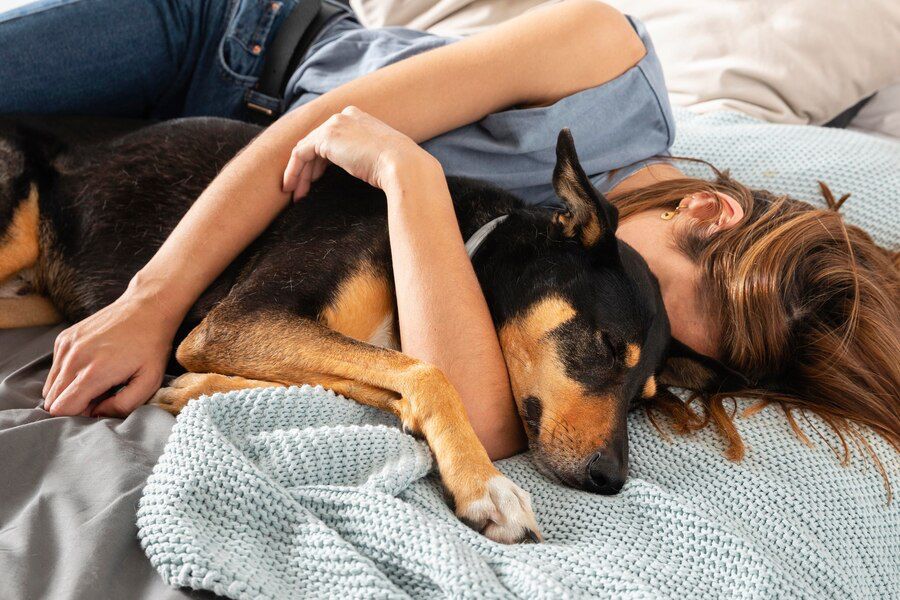 ¿por qué es bueno dormir con perros, según un estudio médico?