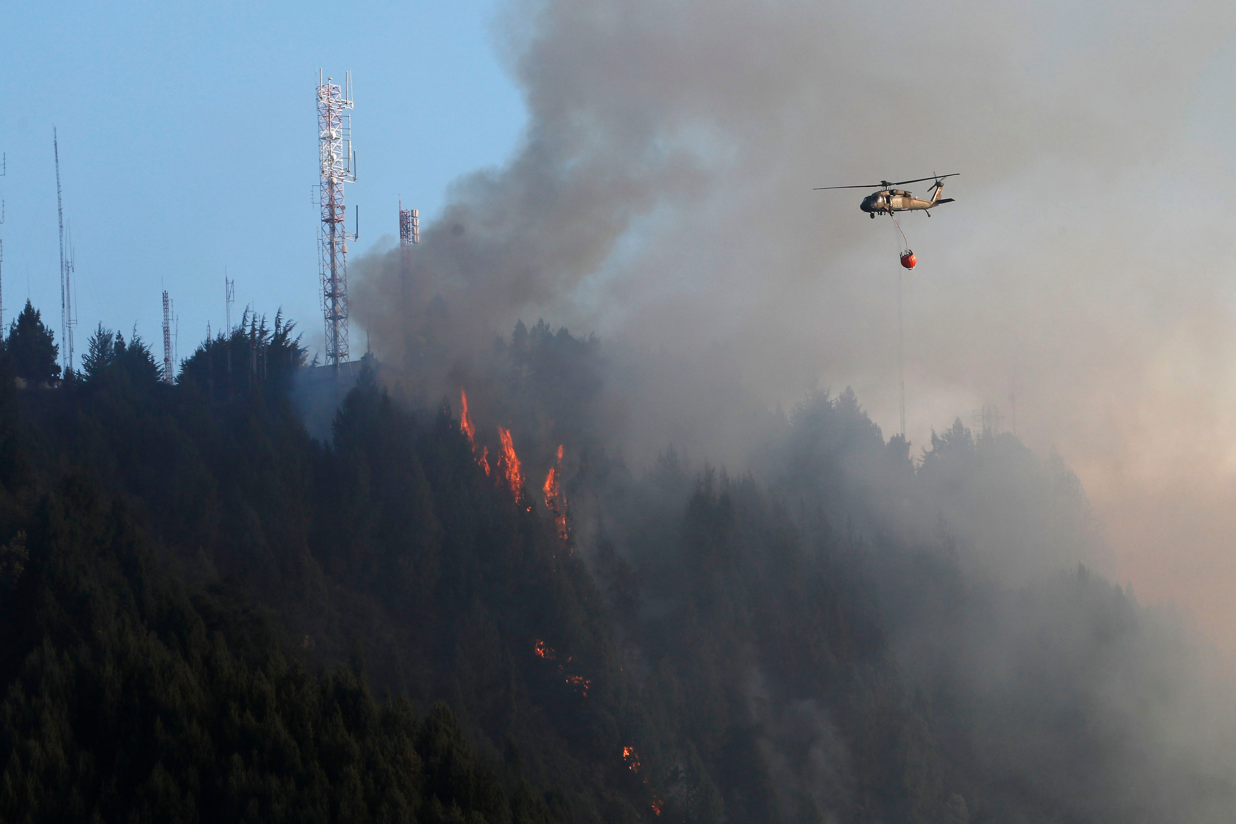 admiten acción popular contra el gobierno por incendios forestales en el país