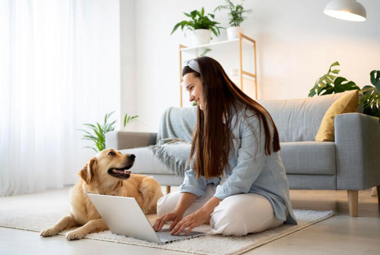 My first pet at home: 50 Tips for first-timers