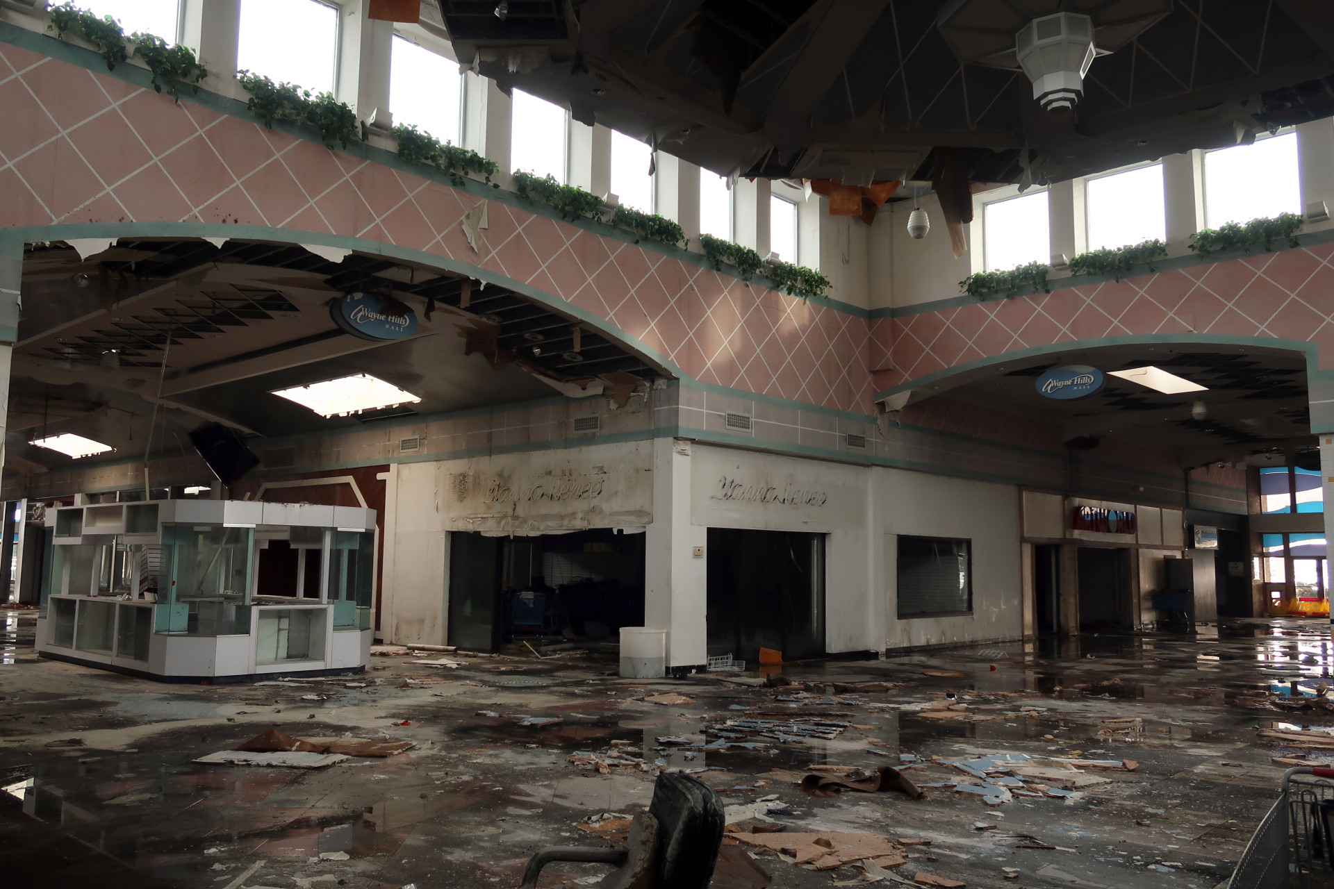 Estos son los mejores días para cortarse el cabello en febrero, según