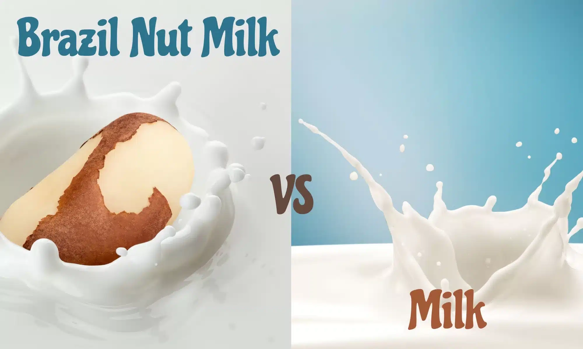 Brazil Nut Milk vs Milk: Which Is Better?