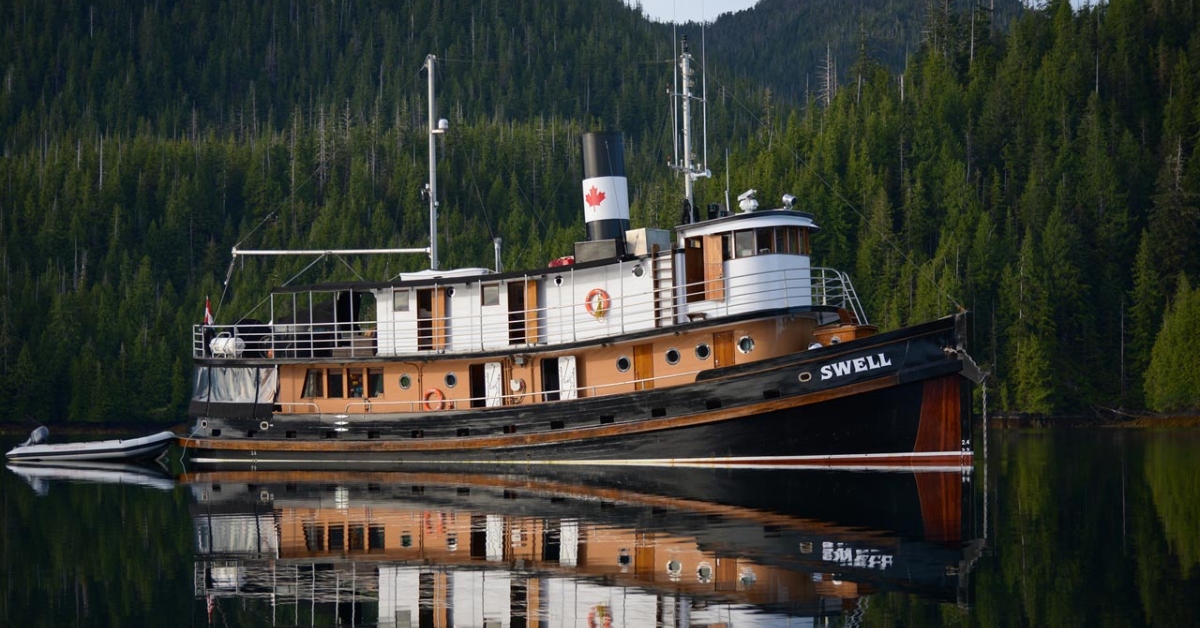 <p> History lovers will enjoy a cruise on the Swell, a 1912 tugboat built in Canada that has been converted into a commercial cruise ship.  </p> <p> The vessel is small, with six cabins and a maximum of 12 guests per voyage. Other amenities include a hot tub, three salons and lounging areas, and kayaks for further exploration. </p>