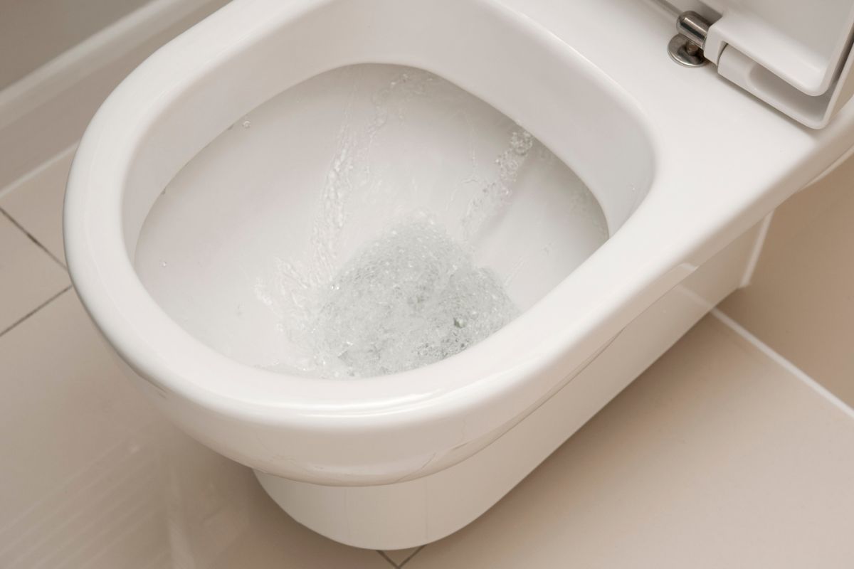 Debunking the toilet lid closure myth Effective ways to combat common