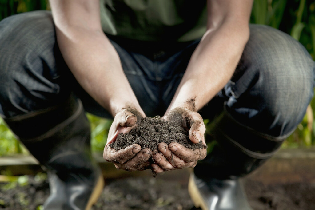 Pourquoi Faut-il Planter Un Slip Dans Votre Jardin (c’est La Science ...