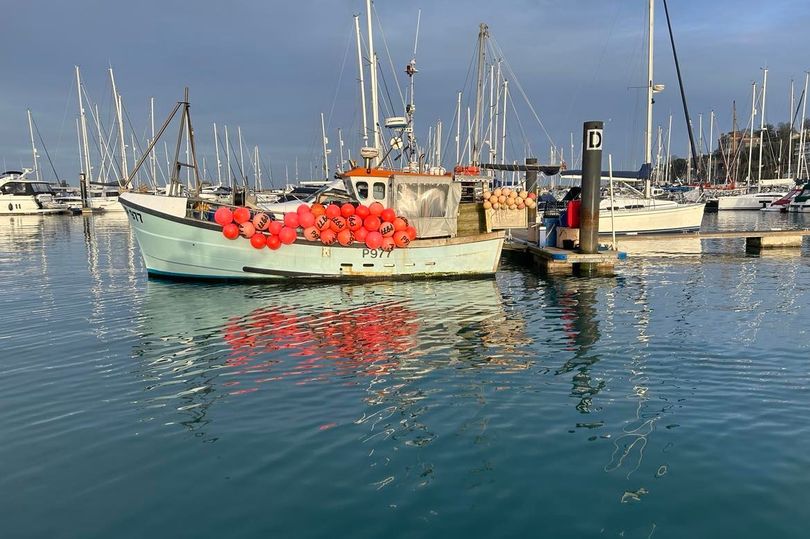devon man forced to sell boat as fish ban sparks turmoil