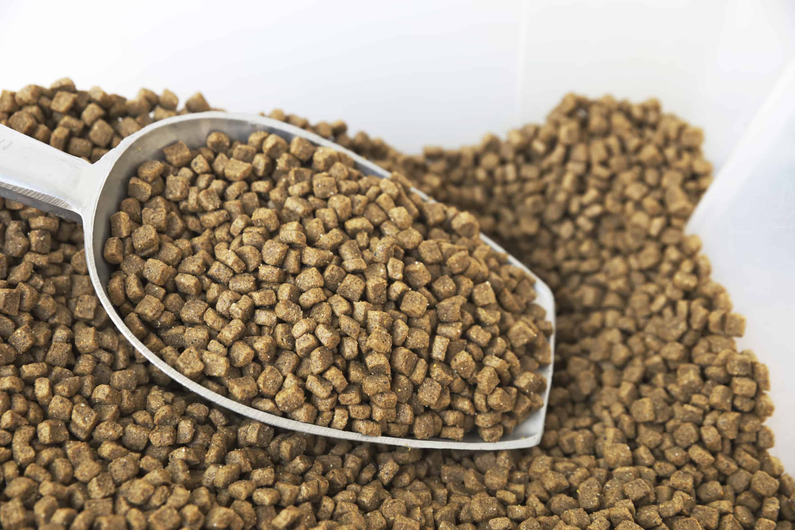 10 Dog Food Brands to Avoid