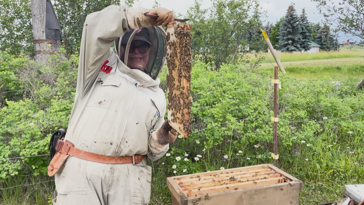 this b.c. beekeeper sold a $15 jar of honey for over $800 at a special auction