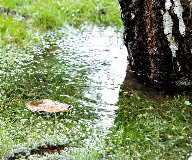 How To Use A French Drain In Your Backyard – An Effective Drainage 