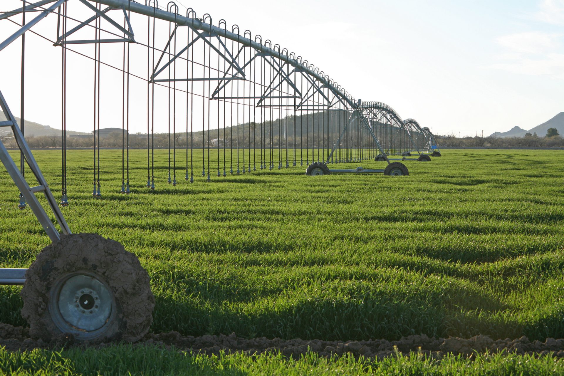 <p>フォンドモンテ・ファームズは親会社のアルマライが切実に必要とする水資源を確保するため、広大な土地を購入して地域一帯の水利権を獲得してきた歴史があるのだ。</p>
