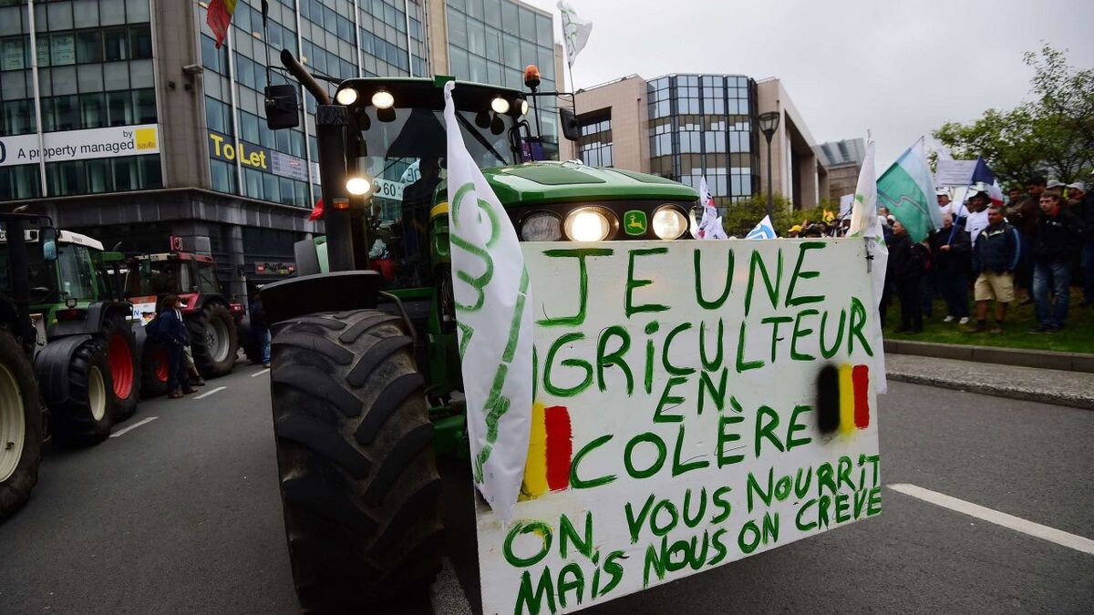 Colère Des Agriculteurs : Une Autoroute Bloquée En Belgique