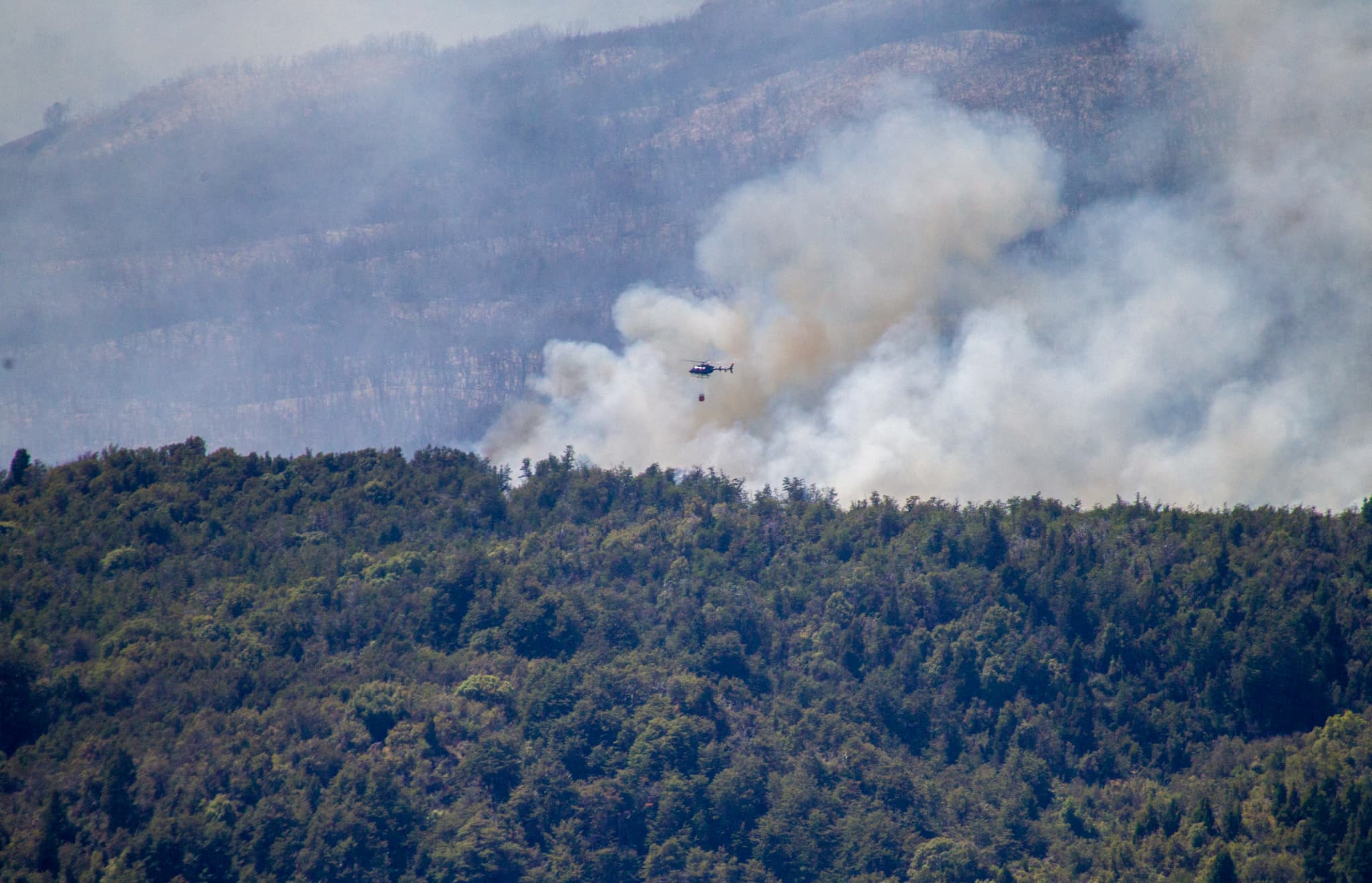 argentine: l'incendie qui a détruit 600 hectares d'un site de l'unesco est d'origine criminelle
