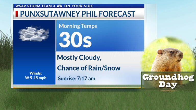 Groundhog Day 2024: Everything you need to know