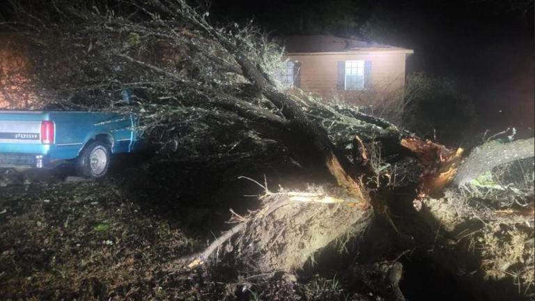 Weekend storm in Saluda County now identified as an EF-1 tornado