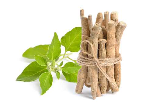 microsoft, is ashwagandha bad for heart patients? a review by nutrition professionals