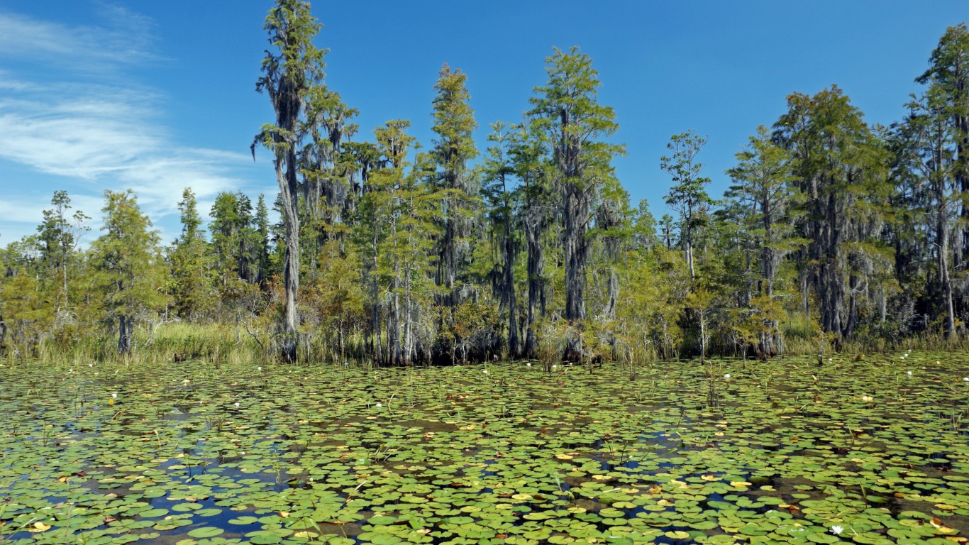 <ul> <li>The Okefenokee National Wildlife Refuge has nearly 400,000 acres of land with a variety of wildlife</li> </ul> <p>Even though there are many benefits to visiting some of the larger cities in Georgia, there are also many beautiful nature refuges outside the cities and plenty of wildlife to see. The Okefenokee National Wildlife Refuge is in Southern Georgia and is home to nearly 400,000 acres of land. Whether you’re interested in going camping or viewing some of the wildlife, there’s plenty to see at this refuge.</p>