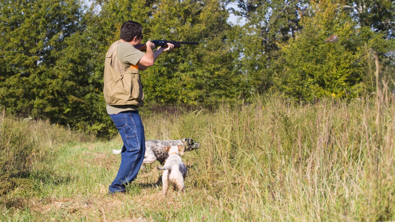 <ul> <li>Georgia is a top state for quail hunting because of its expansive quail population</li> </ul> <p>If you’re not a hunter, you may not be familiar with the best spots for quail hunting. But Georgia has been known as one of the top quail-hunting states for many years. Part of the reason is that Georgia has a large population of quails. The Bobwhite Quail is the most well-known variety and is the state game bird of Georgia.</p>