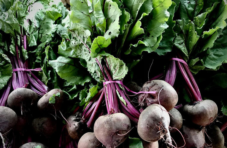 As folhas de beterraba podem compor saladas