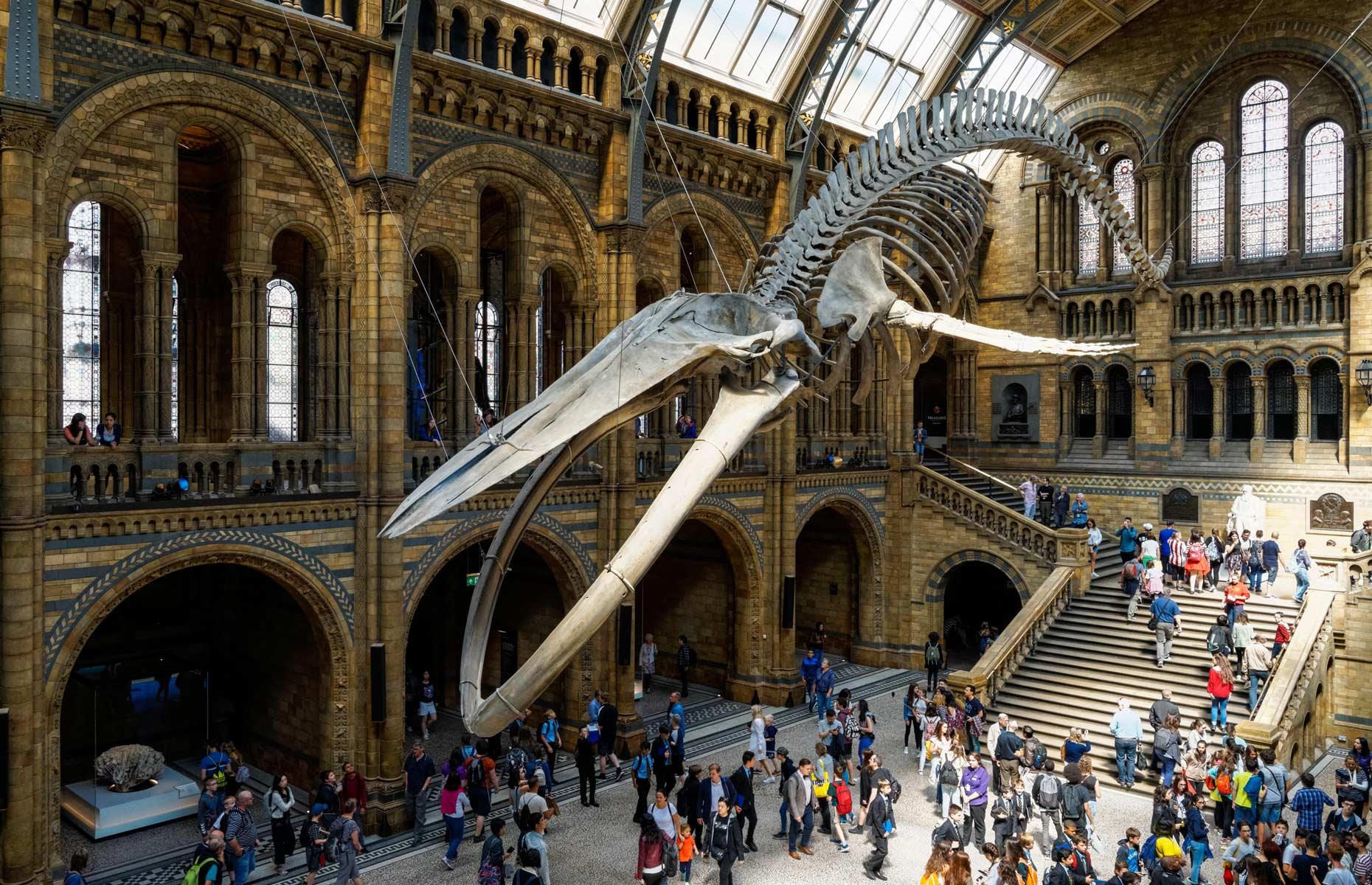 <p>A real-life <em>Night at the Museum</em> experience is likely to be on most kids' bucket lists (if not yours). As long as they're aged 7-11, they can join Dino Snores at the Natural History Museum in London, a roarsome sleepover with a couple of hundred other excitable kids. Expect dino-themed craft sessions, torchlit explorations, midnight feasts, giggling fits galore and not much sleeping at all.</p>