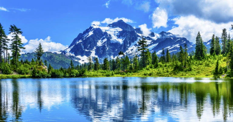 10 Parks In Washington That Offer Scenic Mountain Views With Minimal Hiking