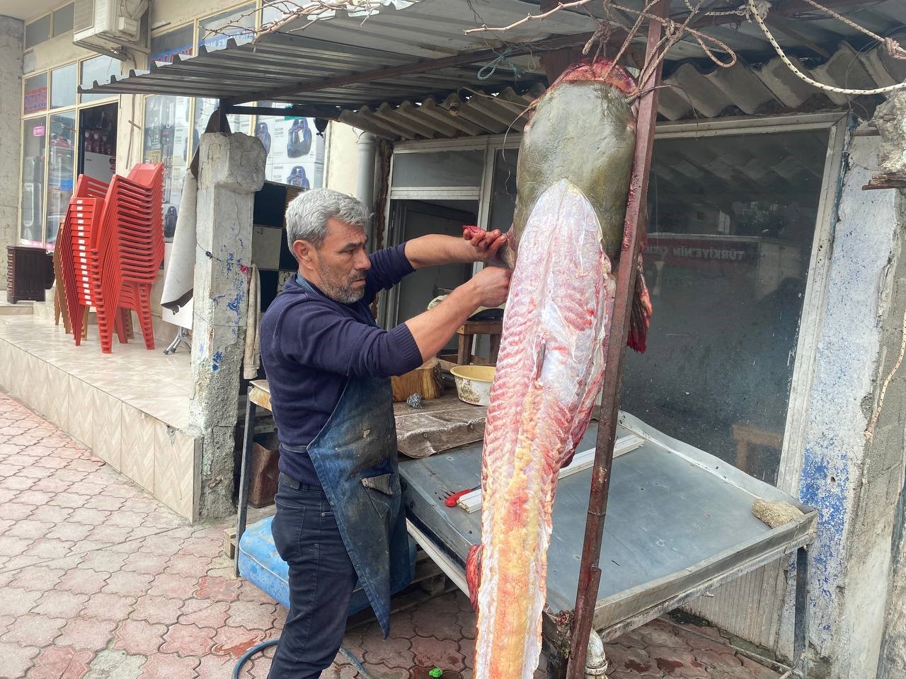 osmaniyeli balıkçıya 37 bin tl’lik yayın balığı piyangosu