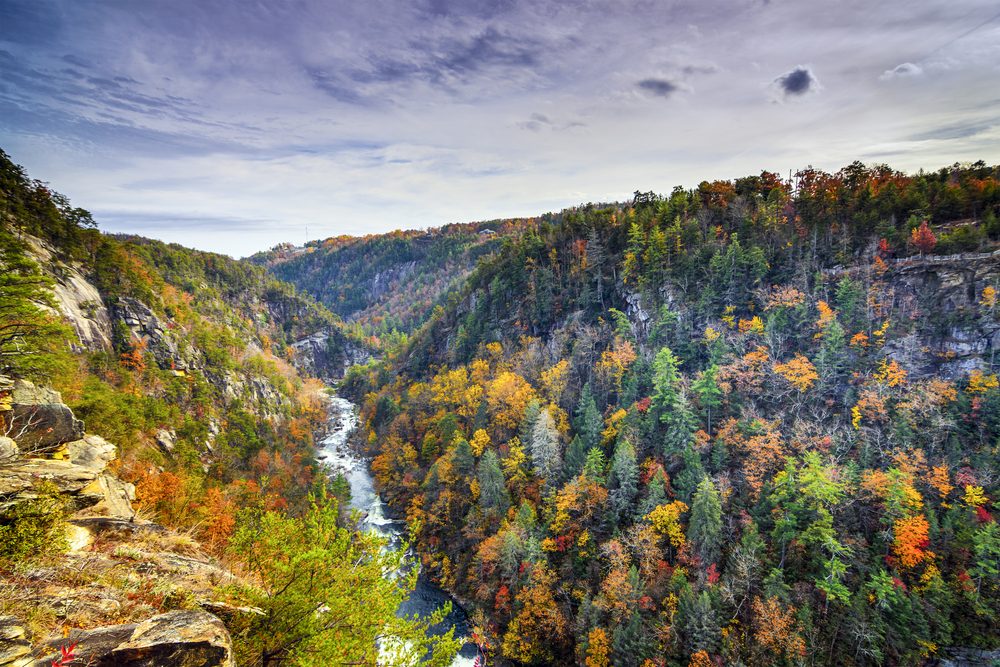 <p>Fall foliage fans everywhere will flock to this Southern nature getaway where the river runs through two miles of wooded hills. Admire the deep reds and vibrant oranges that line the 1,000-foot deep <a class="SWhtmlLink" href="https://gastateparks.org/TallulahGorge" rel="noopener noreferrer">Tallulah Gorge</a> from the swaying suspension bridge or get a permit to hike down to the bottom and see some of the waterfalls below.</p>