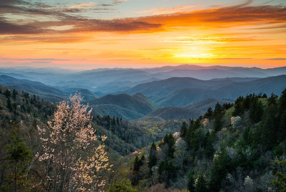 <p>There's no shortage of spectacular sights in the Great Smoky Mountains, but one of the most stunning views of the tree-lined peaks can be found at <a class="SWhtmlLink" href="https://www.nps.gov/grsm/planyourvisit/clingmansdome.htm" rel="noopener noreferrer">Clingmans Dome</a>. On a clear day atop the highest point in the Smokies, you can see for up to 100 miles of towering spruce firs and rolling ridges—you can even see across seven states (Tennessee, Virginia, Kentucky, North Carolina, South Carolina, West Virginia, and Georgia).</p>