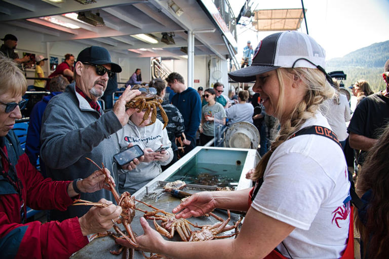 Tour attendees looking at crabs on the Bering Sea Crab Fisherman’s Tour.