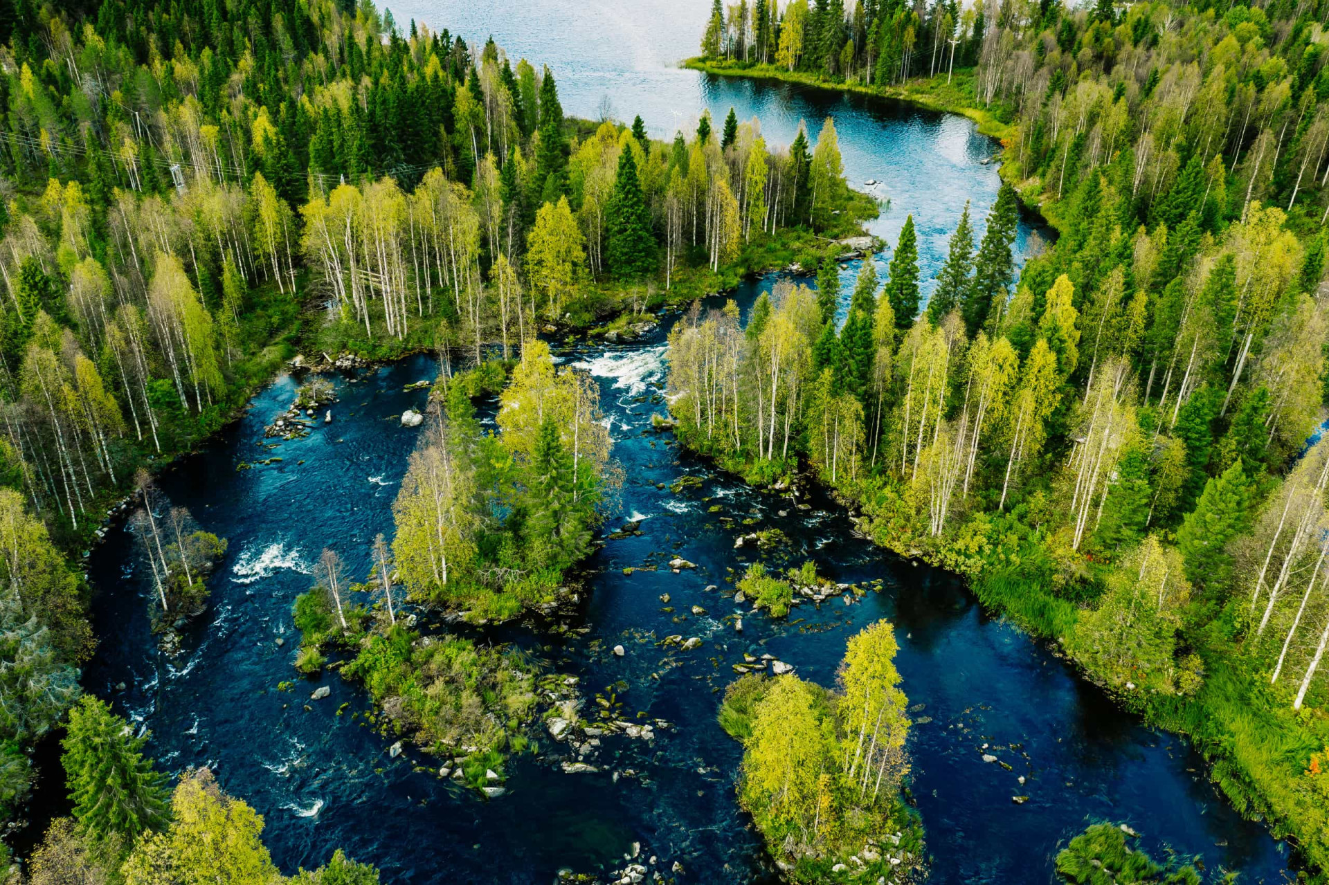 Amazing European forests you'll want to explore